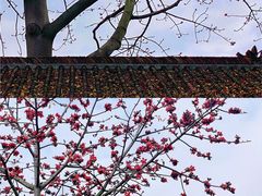 -喜洲吧·江畔老船厂·庭院餐厅(喜临院店)