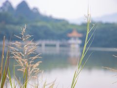 -番禺大夫山森林公园
