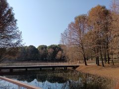-同里国家湿地公园