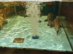 -阿伟海鲜楼·福建菜(延寿店)