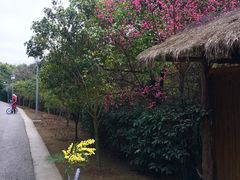 -贵阳市花溪国家城市湿地公园