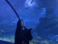 -蓬莱欧乐堡海洋极地世界