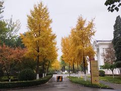 -中国农业博物馆