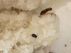 -一品方糕专卖店