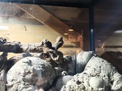 -杭州野生动物世界