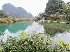 -靖西鹅泉风景区