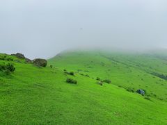 -大姆山草场