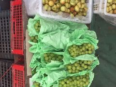 -城南综合水果批发市场(花园路店)