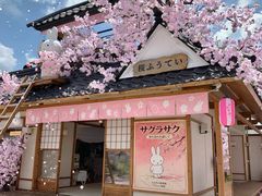 -Blue Concept Cafe&Farm·關於藍