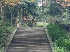 -青城山