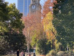 -人民公园-相亲角