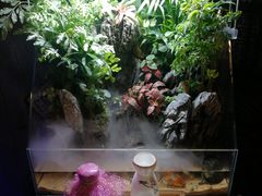 -798烧烤工厂(太和路店)