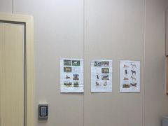 -瑞鹏宠物医院·骨外科·心肾科·肿瘤科(九亭店)