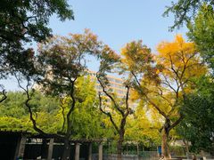 -宣武艺园