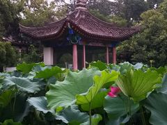 -莲湖公园