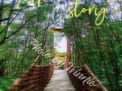 -上海吴淞炮台湾国家湿地公园