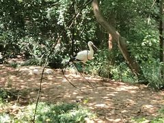 -合肥野生动物园