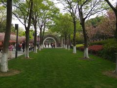 -圩墩遗址公园