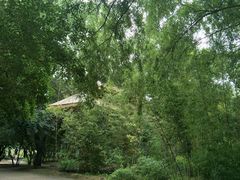 -大兴滨河森林公园