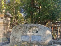 -奈良公园