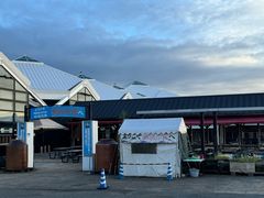 -黑潮市场