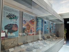 -延庆地质公园博物馆