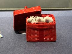 -张学良旧居陈列馆
