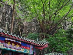 -星湖旅游景区七星岩