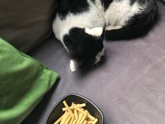 -虚荣精酿酒屋(五羊店)