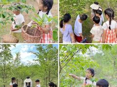 -北京市府学胡同小学