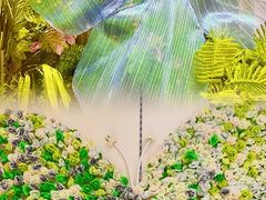 -深圳龙华星河COCO City(民治店)