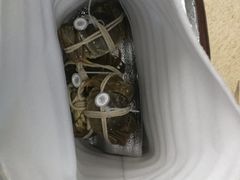 -水岸居湖景农家乐·阳澄湖大闸蟹