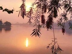 -松山湖南湖湾露营营地