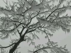 -峨嵋山金顶
