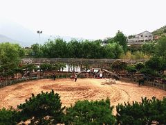 -济南马套将军山