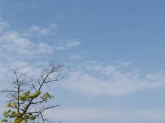 -飞凤山奥体公园