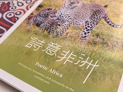 -好利来(望京中福店)