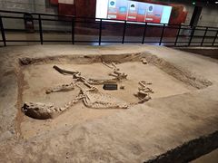 -洛阳周王城天子驾六博物馆