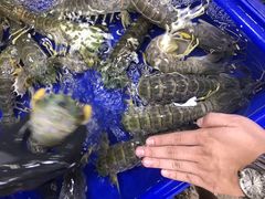 -芭提雅海鲜市场