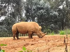 -云南野生动物园