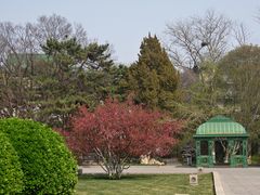 -北京友谊宾馆·俄罗斯餐厅