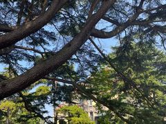 -青岛德国总督楼旧址博物馆