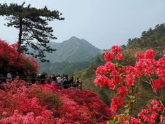 -木兰云雾山
