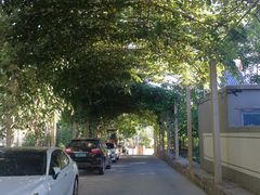 -大海别墅民宿农家院(十渡店)