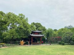 -东湖落雁景区