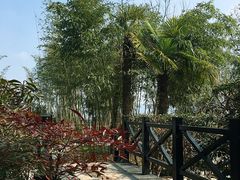 -三江森林温泉度假区