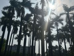 -南宁南湖公园