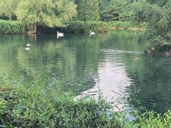 -长白岛森林公园