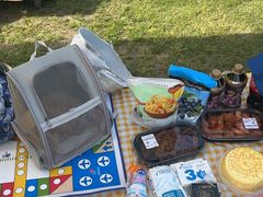 -昆山城市生态森林公园