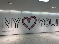 -约翰·菲茨杰拉德·肯尼迪国际机场